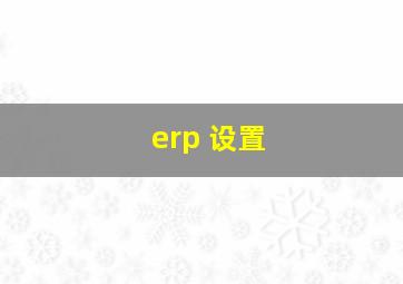 erp 设置